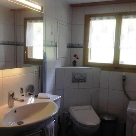 Saanen Sleeps 6 Wifi Gstaad